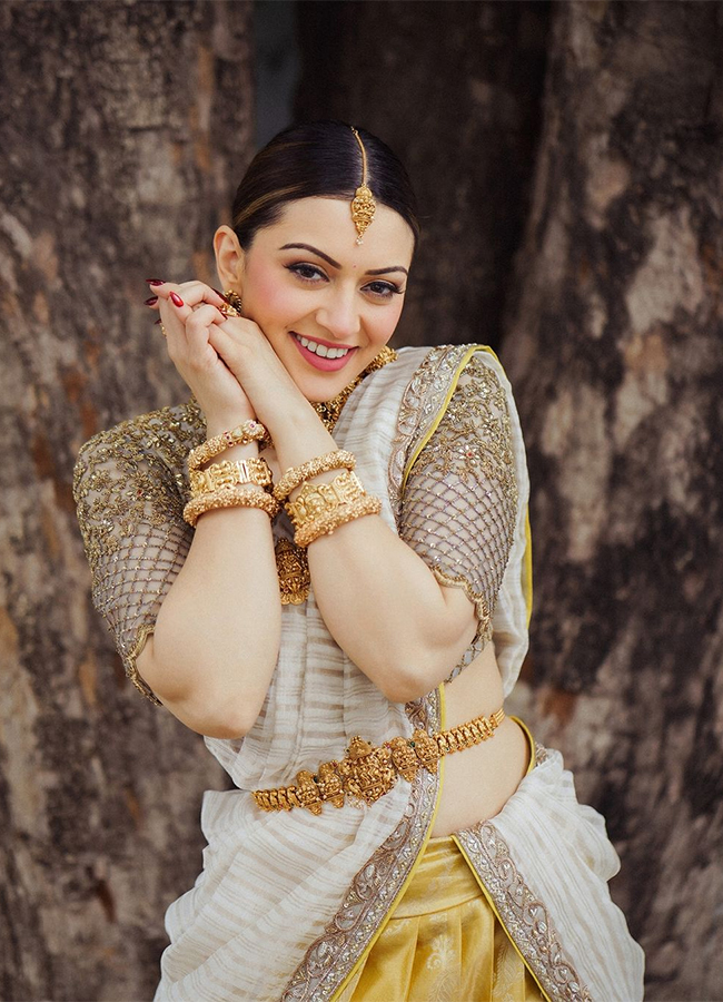 Actress Hansika Latest Photos Goes Viral5