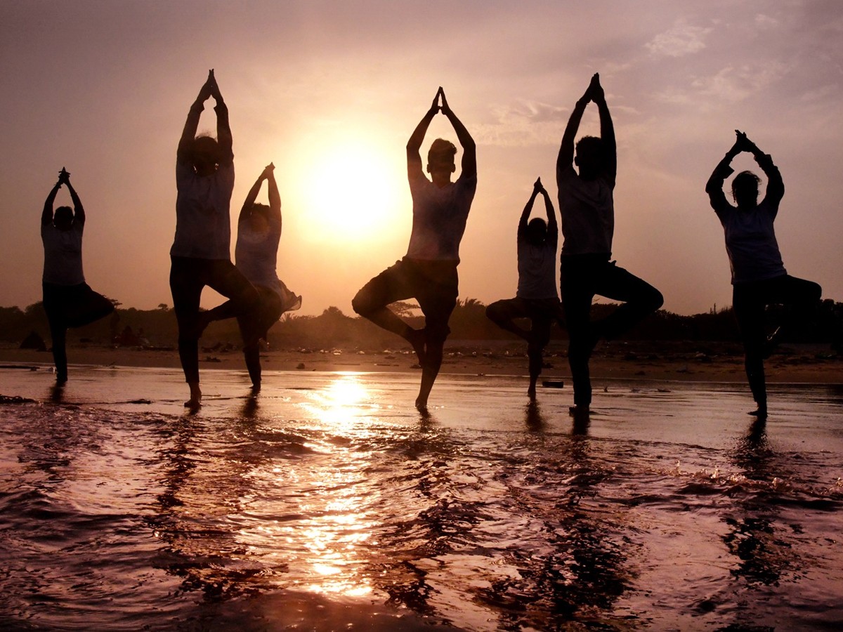 International Yoga Day 2024 Special Event Photos47