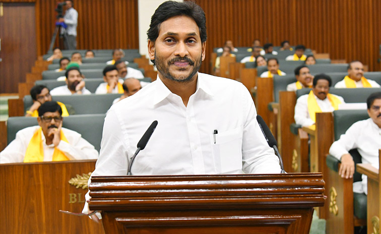 YS Jagan Mohan Reddy Takes Oath In AP Assembly Photos2