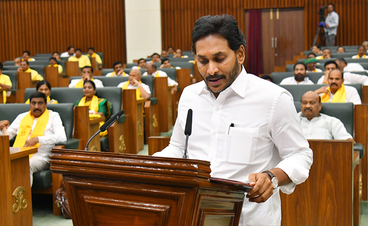 YS Jagan Mohan Reddy Takes Oath In AP Assembly Photos1