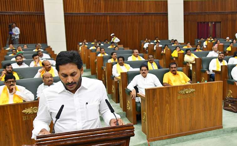 YS Jagan Mohan Reddy Takes Oath In AP Assembly Photos4