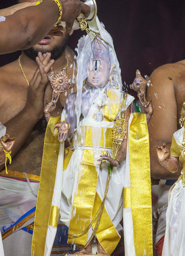 Annual Jyestabhishekam At Tirumala Photos10