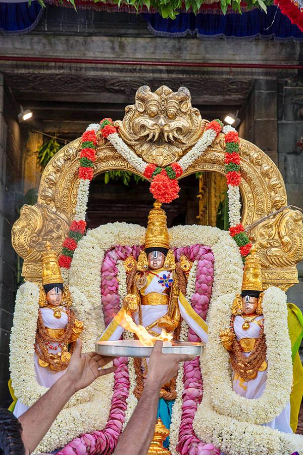 Annual Jyestabhishekam At Tirumala Photos11