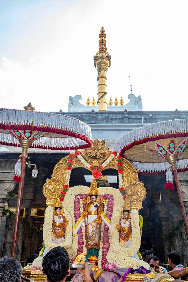 Annual Jyestabhishekam At Tirumala Photos12