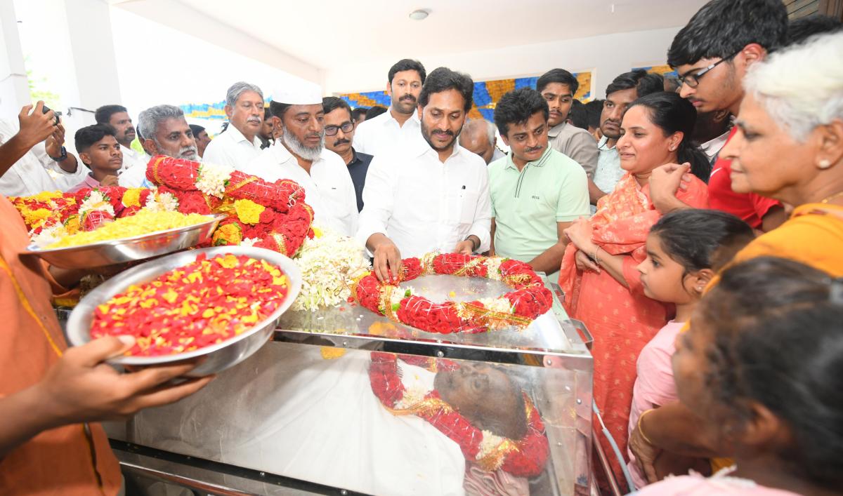 YS Jagan At Pulivendula Photos13