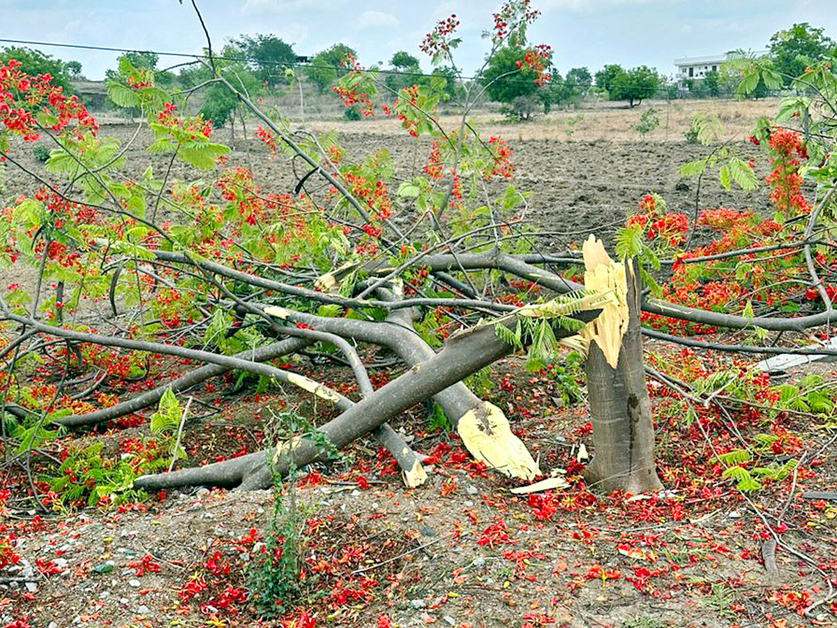 Best Photos of The Day in AP and Telangana Photo Gallery8