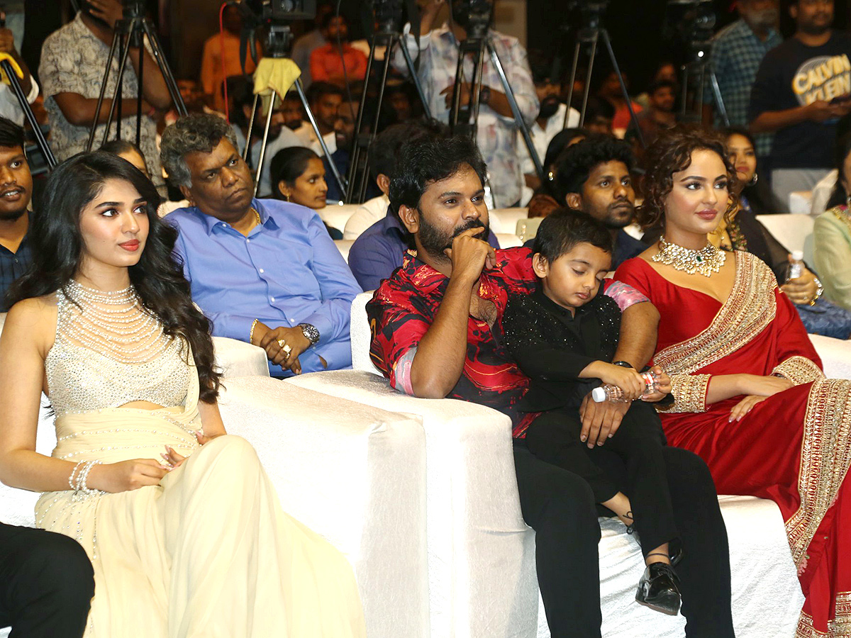 Manamey Movie Pre Release Event Photos10