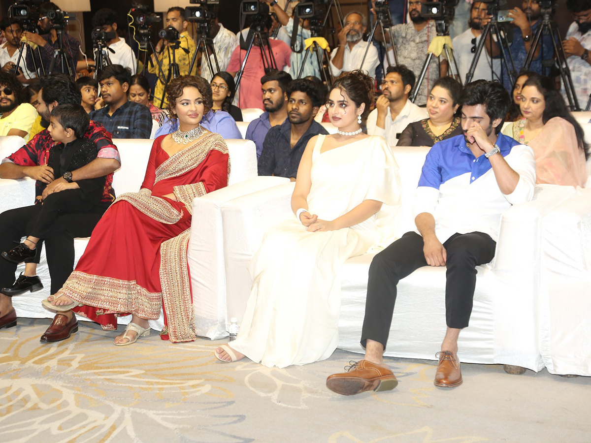 Manamey Movie Pre Release Event Photos19