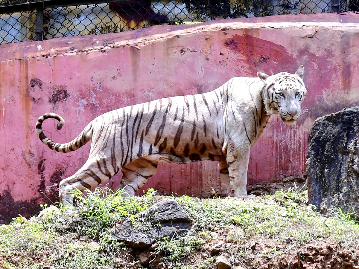 Best Photos of The Day in AP and Telangana Photo Gallery15