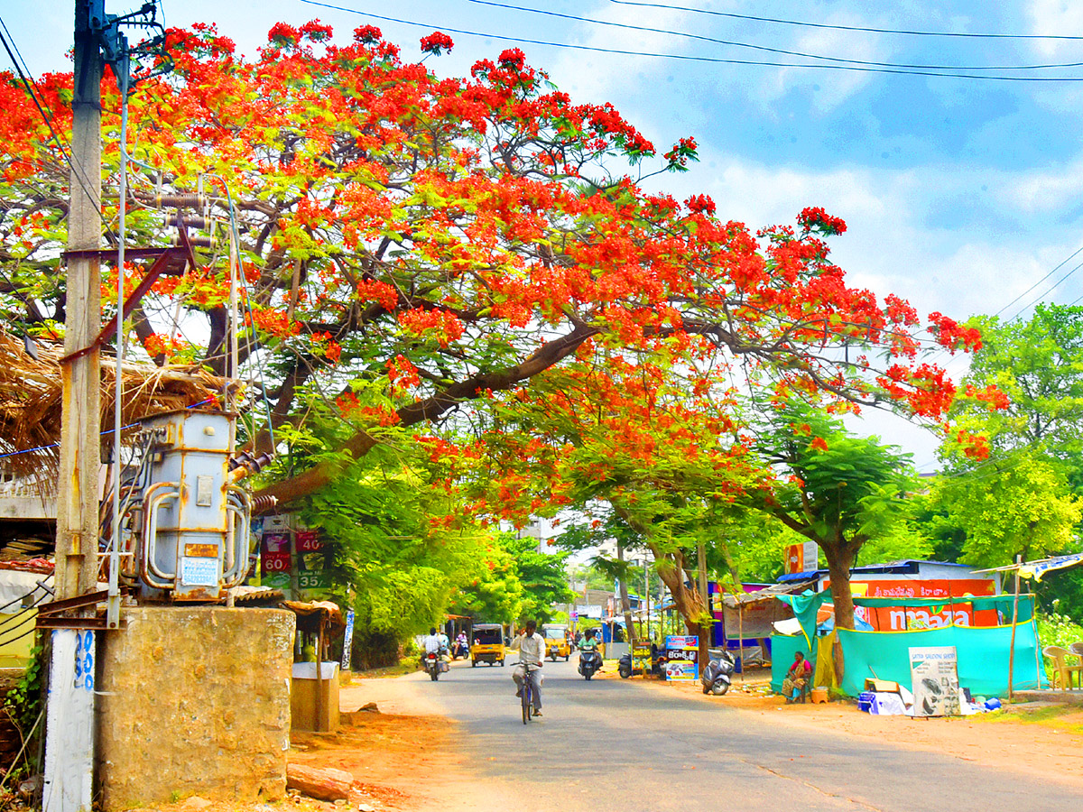 Best Photos of The Day in AP and Telangana Photo Gallery5