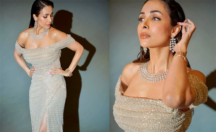 Bollywood Actress Malaika Arora Latest Outfit PhotoShoot Stills Goes Viral1