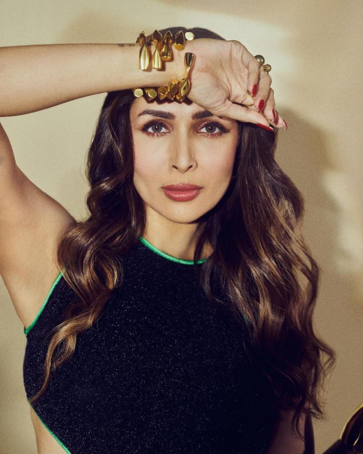 Bollywood Actress Malaika Arora Latest Outfit PhotoShoot Stills Goes Viral10