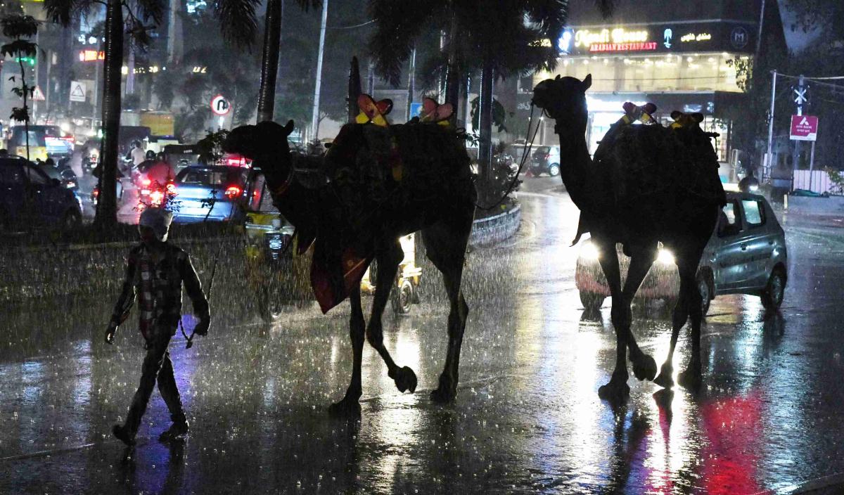 Heavy Rains At Hyderabad Photos33