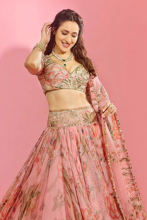 Actress Pragya Jaiswal Latest Cute Photos In Pink Long Dress Photos8