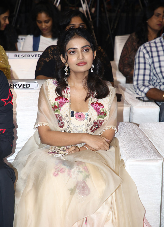 Priyadarshi Darling Movie Pre Release Event Photos35