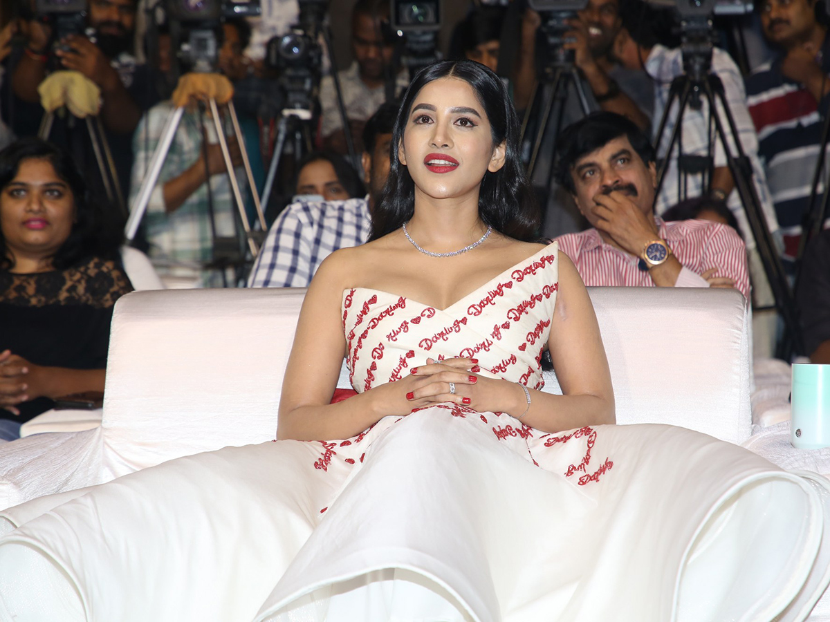 Priyadarshi Darling Movie Pre Release Event Photos5