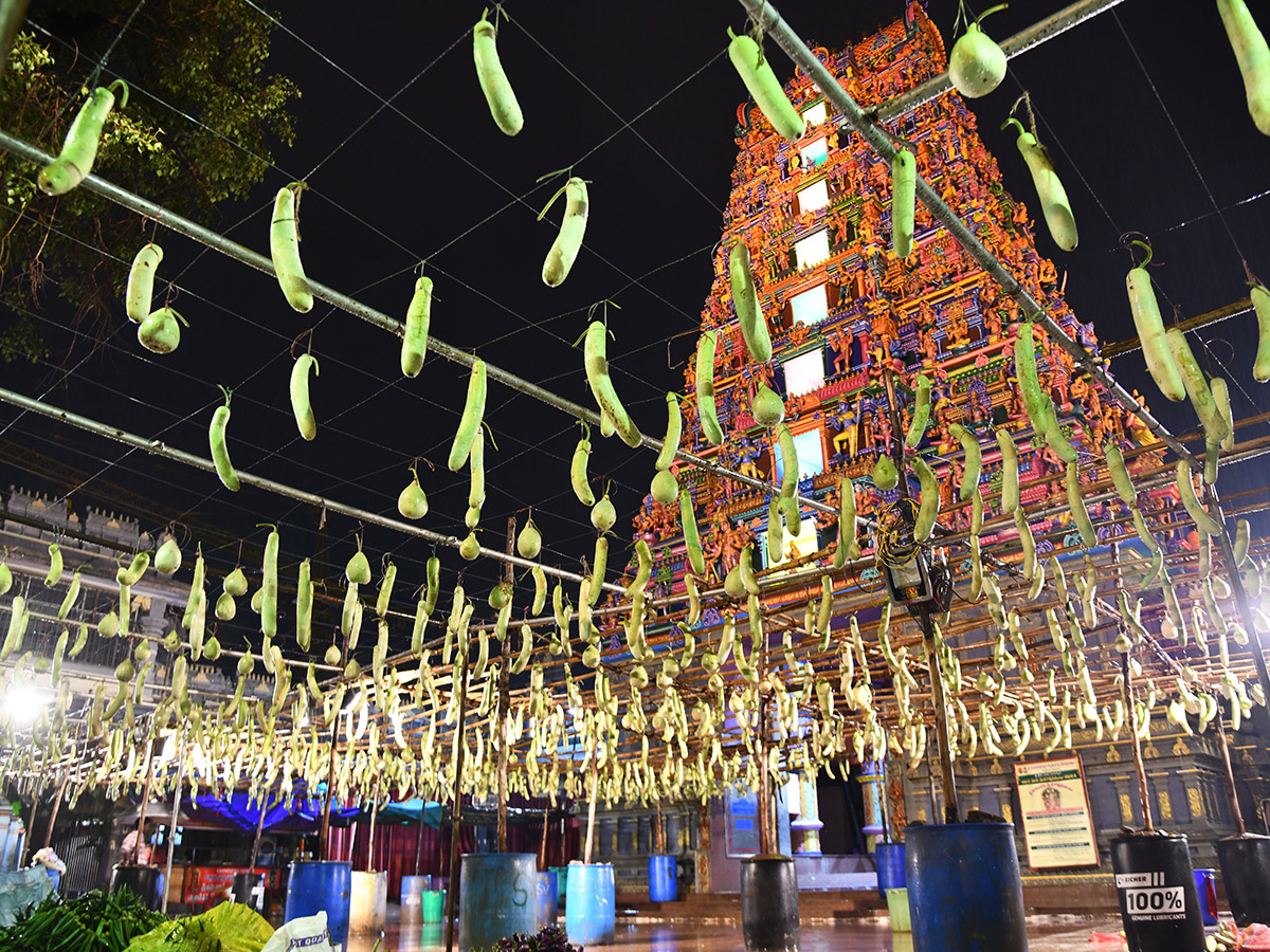 Shakambari festival 2024 at Vijayawada Kanaka Durga Temple Photos8