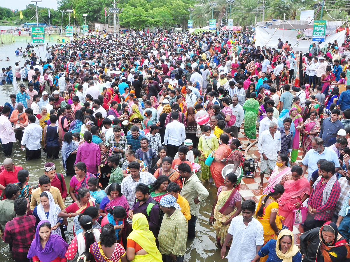 rottela panduga in nellore 2024 photos17