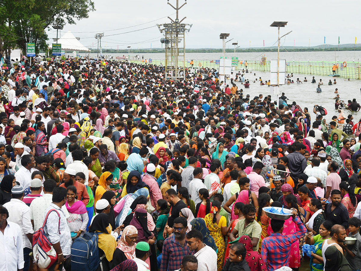 rottela panduga in nellore 2024 photos30