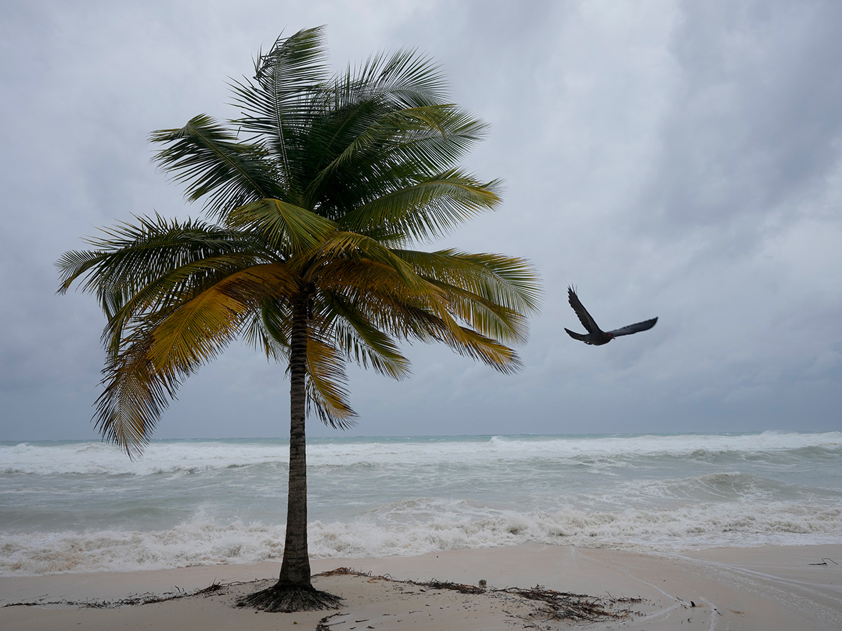 Hurricane Beryl passed through Oistins in Barbados: Photos6