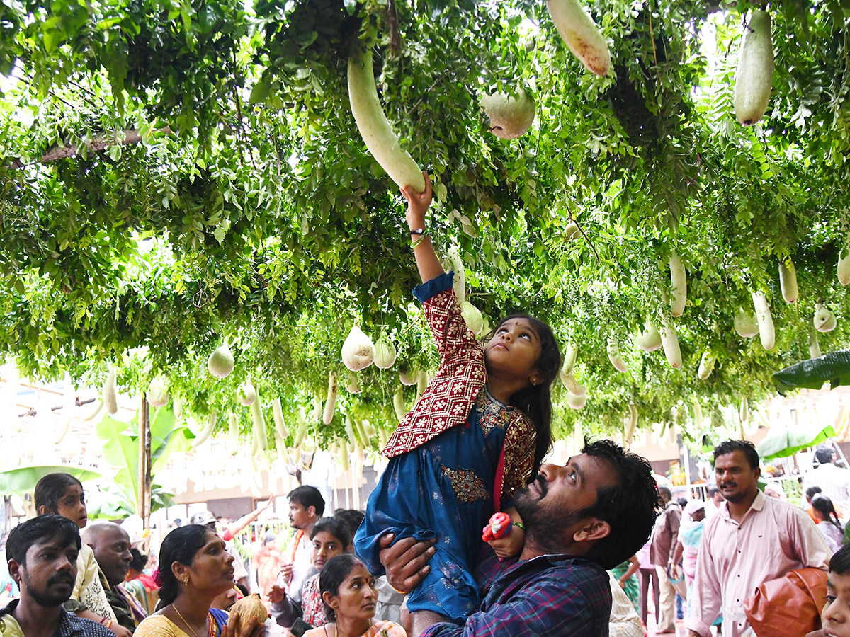 Shakambari Devi Festival Grandly Celebrated At Indrakeeladri18