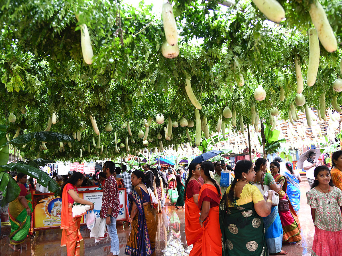 Shakambari Devi Festival Grandly Celebrated At Indrakeeladri24