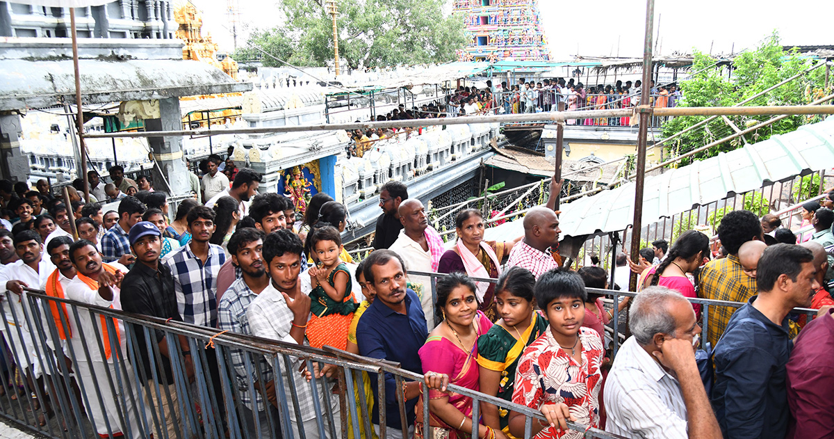 Ashadam Sare Festival In Vijayawada Durgamma27