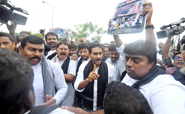 YS Jagan At Andhra Pradesh Assembly: Photos13