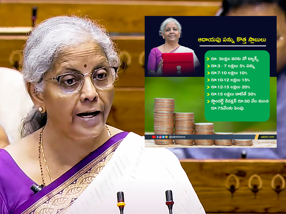 Finance Minister Nirmala Sitharaman Union Budget 2024-25 Photos1