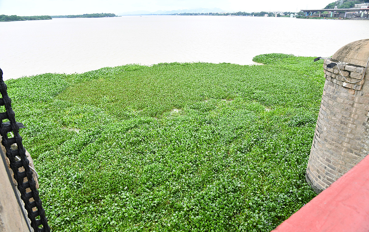 Heavy flood water in Krishna River Photos7