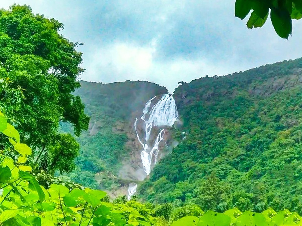 The Highest Waterfalls In India: Photos6