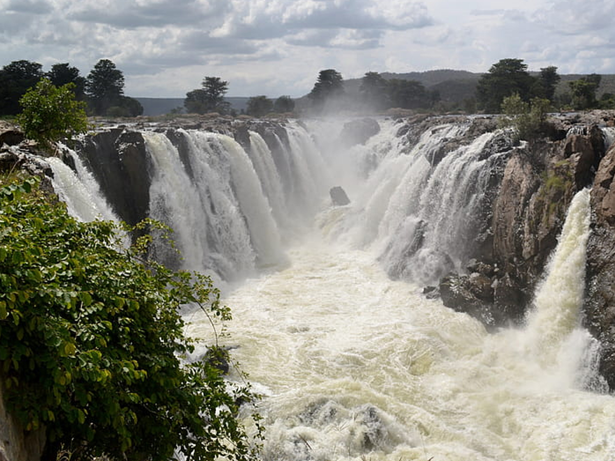 The Highest Waterfalls In India: Photos10