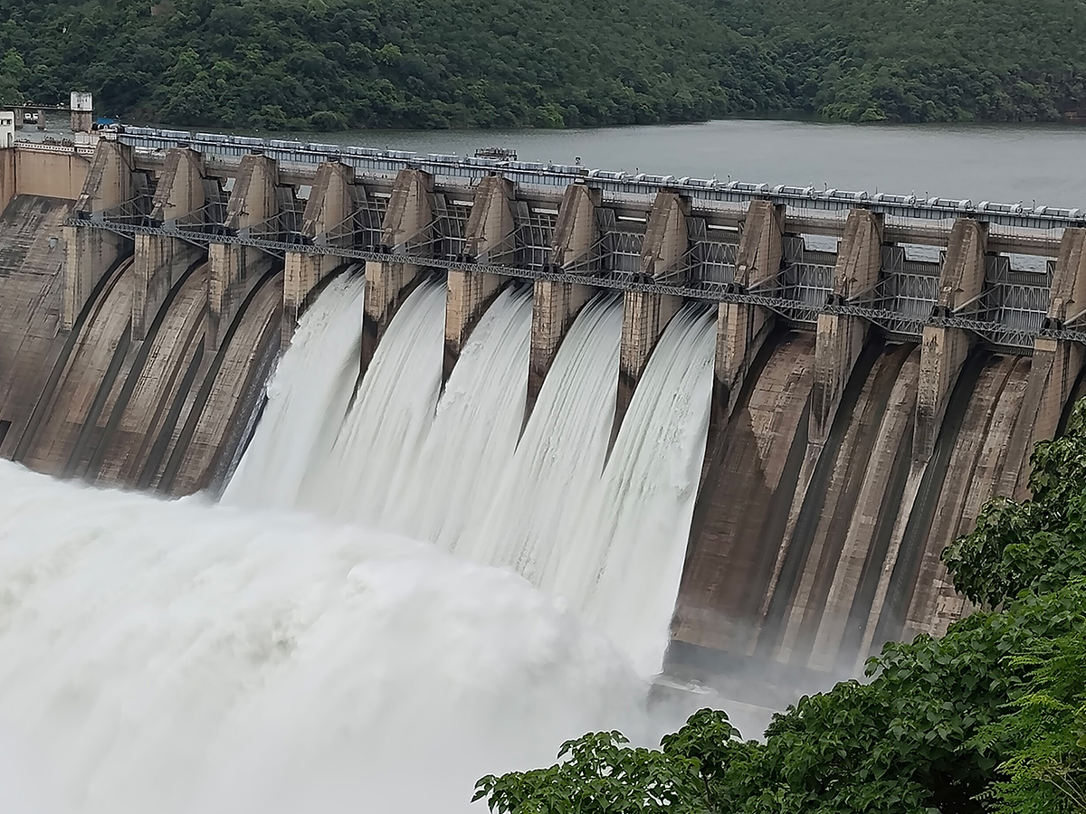 Inflows Rise At Srisailam Dam Photos11