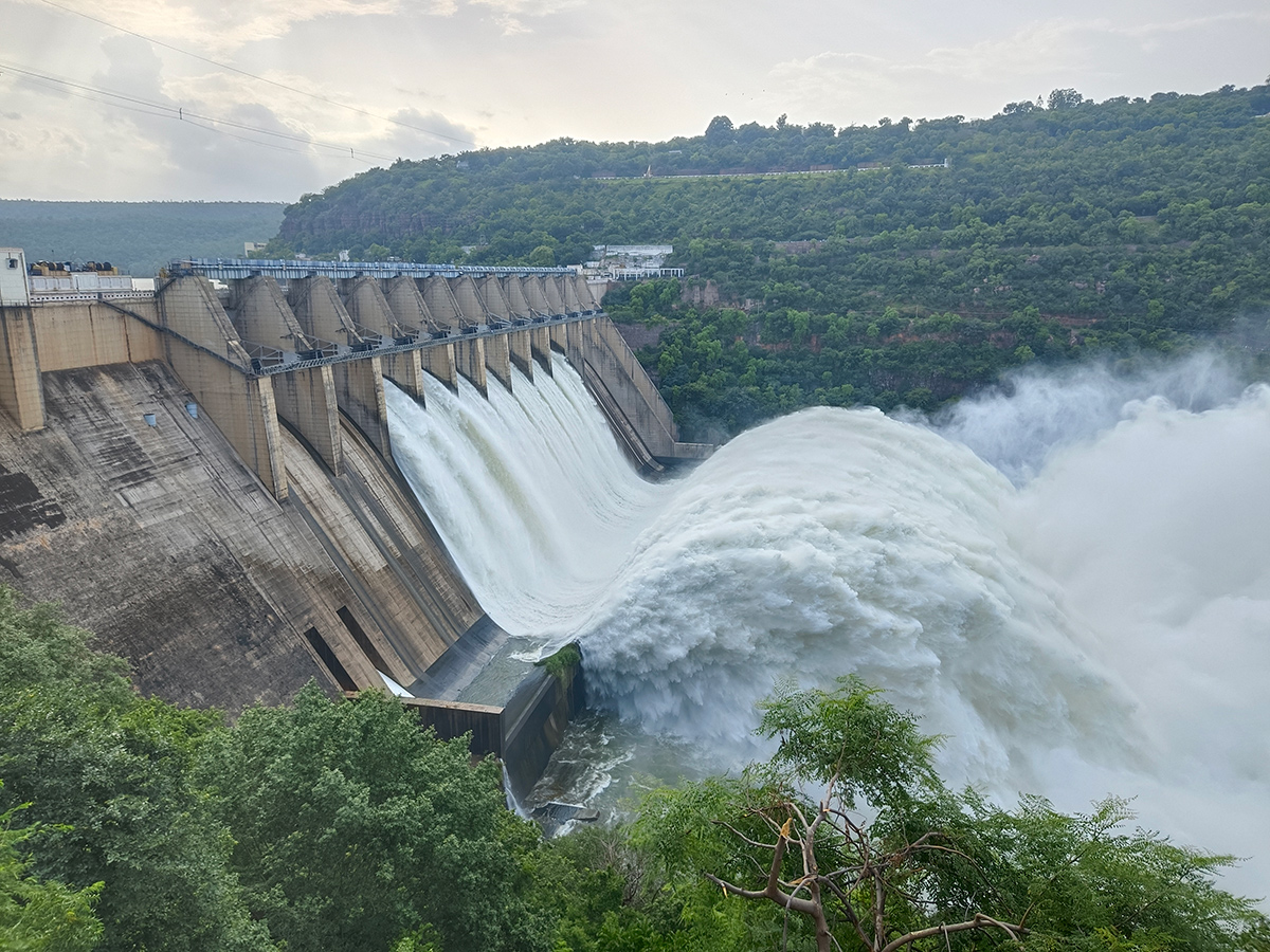 Inflows Rise At Srisailam Dam Photos16