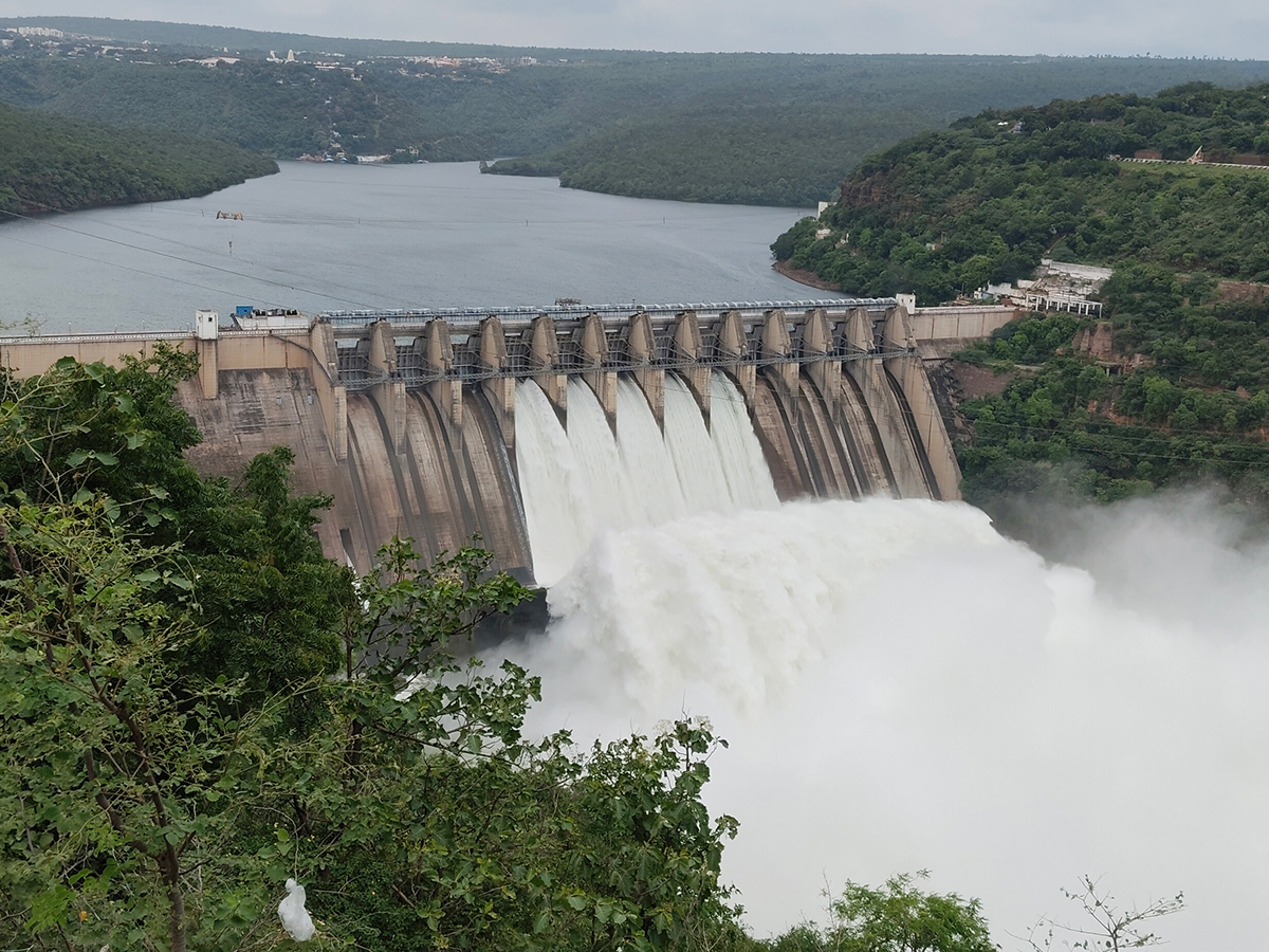 Inflows Rise At Srisailam Dam Photos17