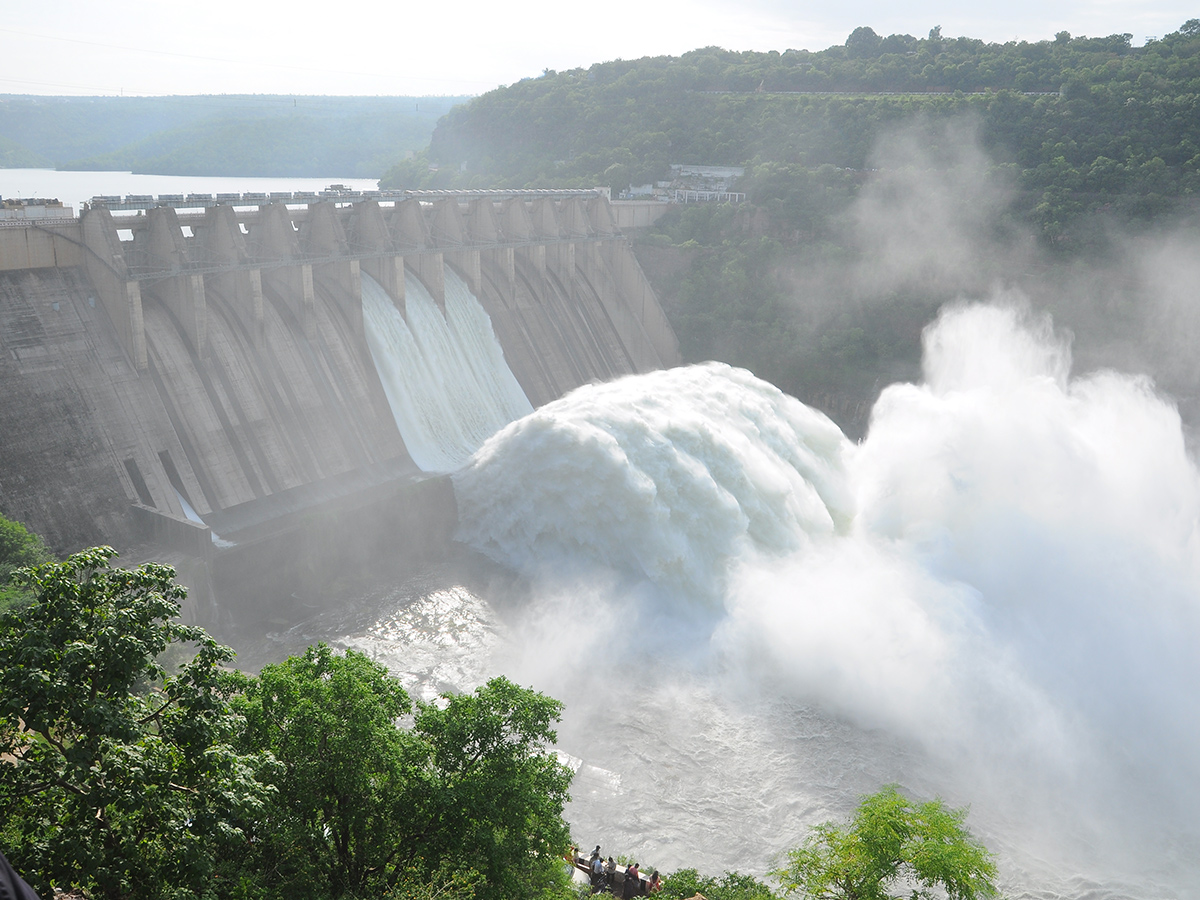 Inflows Rise At Srisailam Dam Photos18