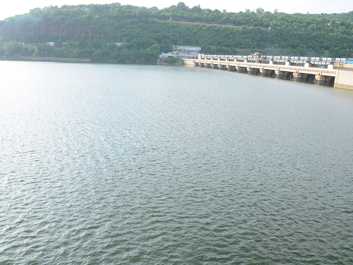 Inflows Rise At Srisailam Dam Photos4