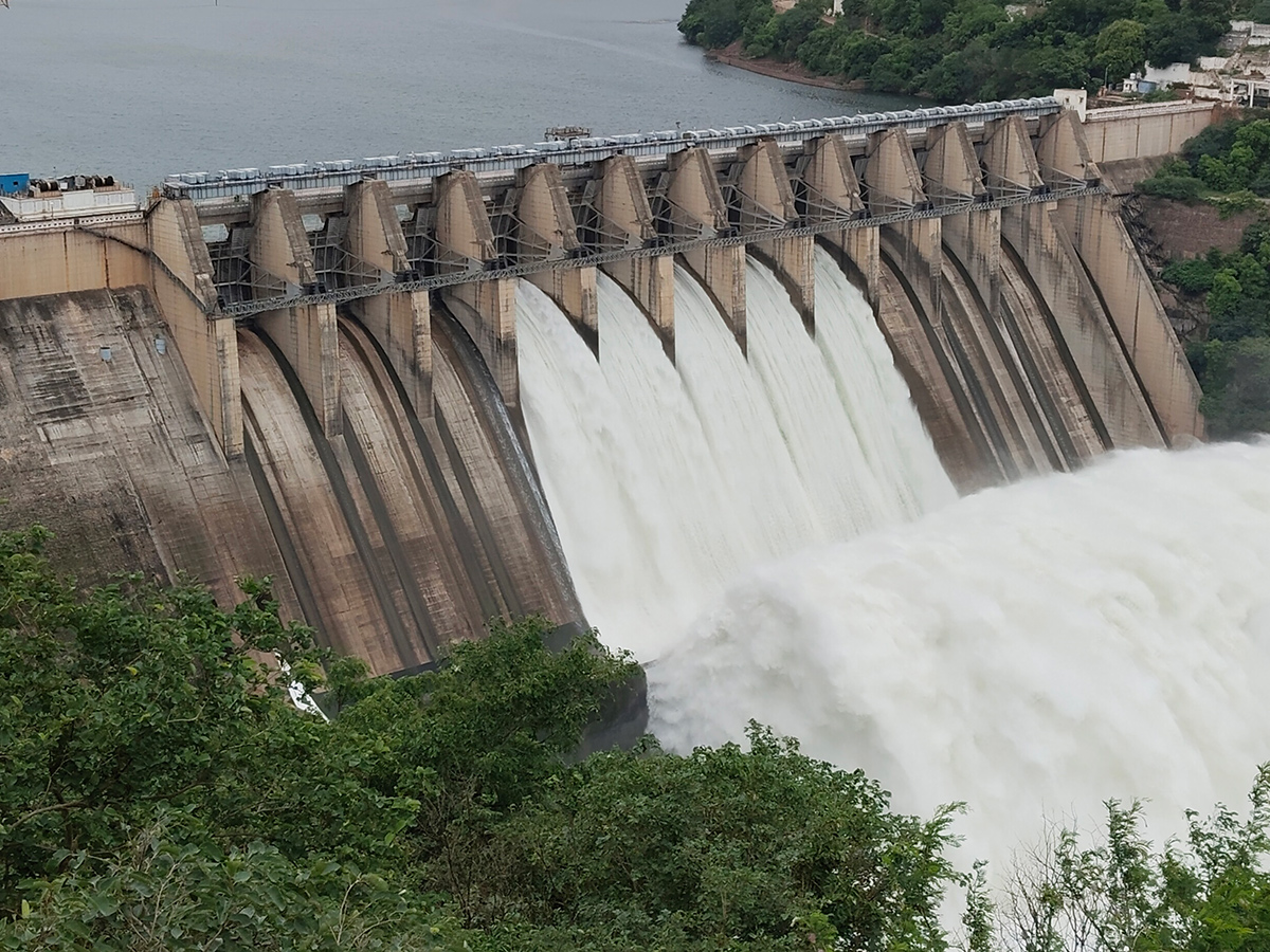 Inflows Rise At Srisailam Dam Photos5