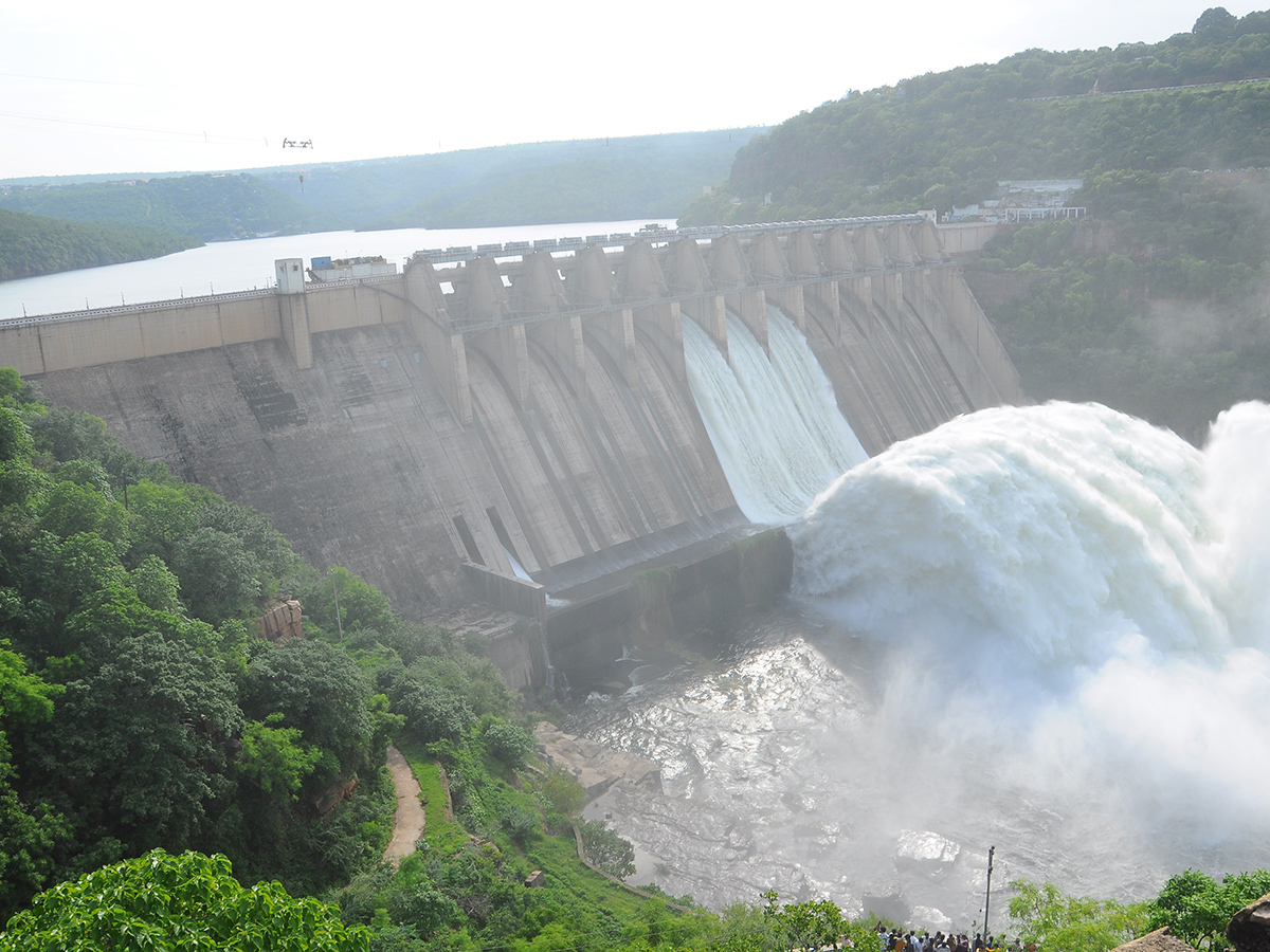 Inflows Rise At Srisailam Dam Photos9