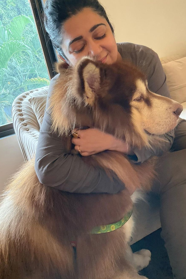 Actress Charmme Kaur Shared Photos In Social Media After Reuniting With Her Pet6