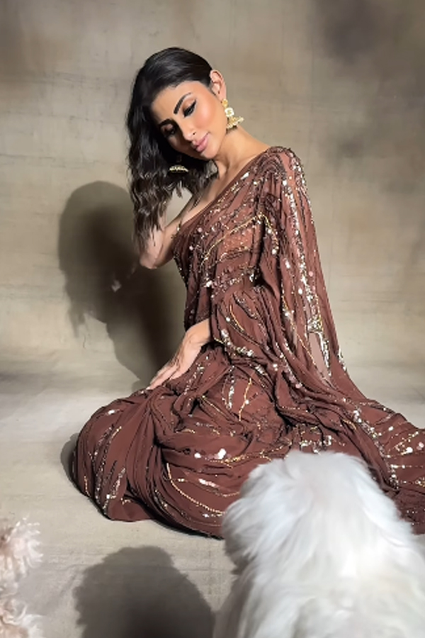 Bollywood Beauty Mouni Roy Poses In A Beautiful Saree9