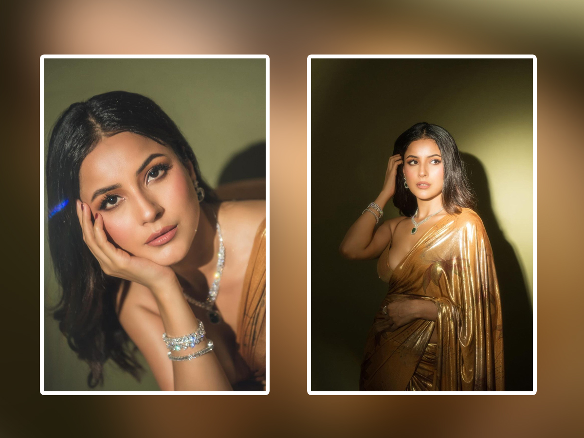 Actress Shehnaaz Kaur Gill Stunning Looks In Golden Color Saree1