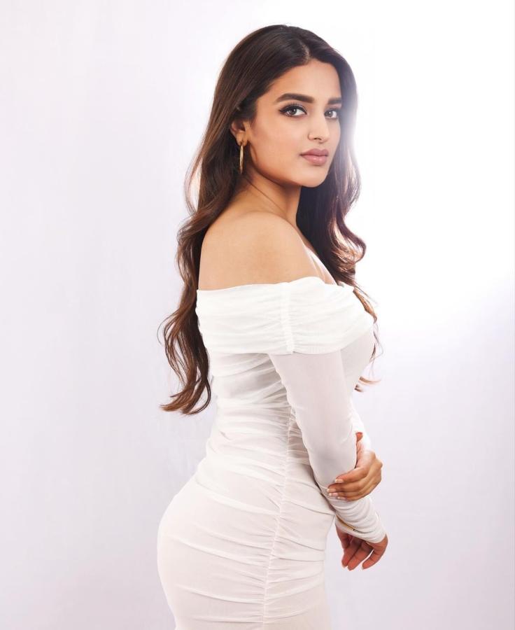 Actress Nidhhi Agerwal HD Photo Gallery Goes Viral8