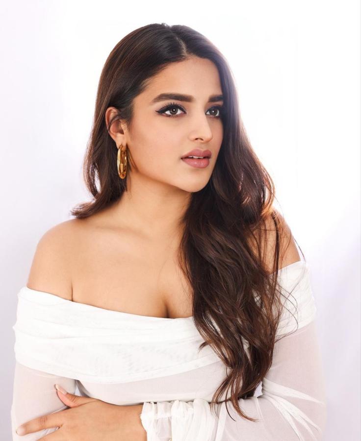 Actress Nidhhi Agerwal HD Photo Gallery Goes Viral9