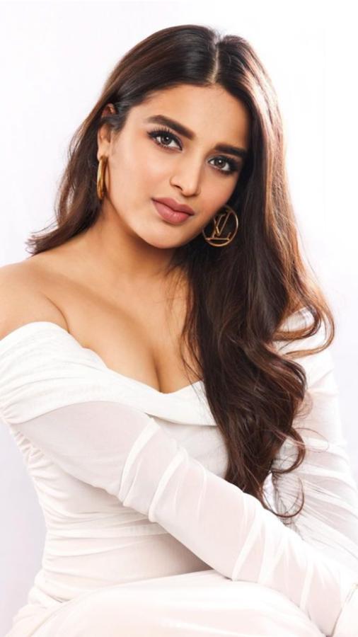 Actress Nidhhi Agerwal HD Photo Gallery Goes Viral10