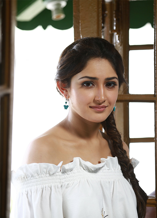 Actress sayyeshaa saigal birthday special photos10