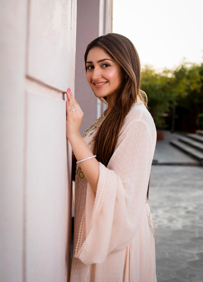 Actress sayyeshaa saigal birthday special photos14