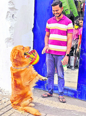 వెరీ వెరీ స్పెషల్ 1