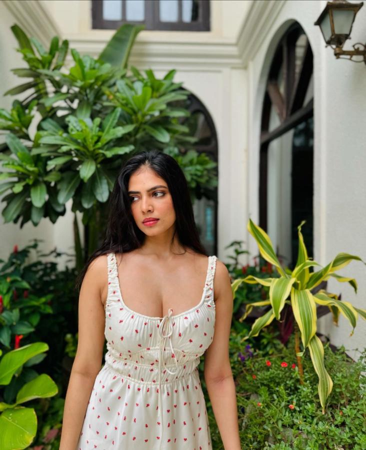 Indian Actress Malavika Mohanan Latest HD Photo Gallery4