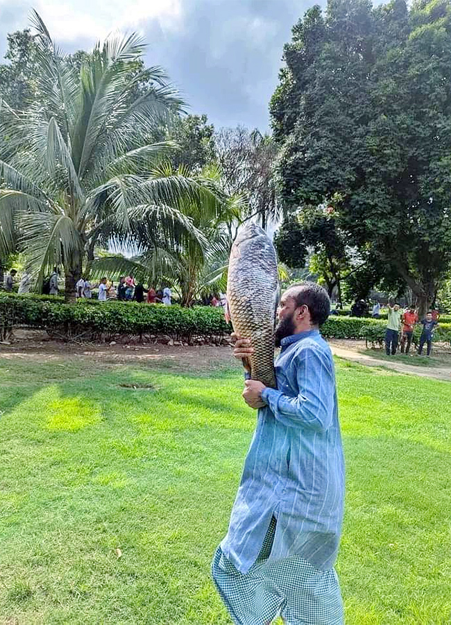 Bangladesh: protesters storm PM residence in Dhaka Photos Viral14